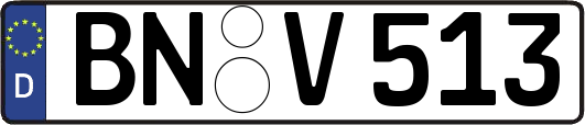 BN-V513