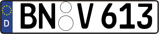 BN-V613