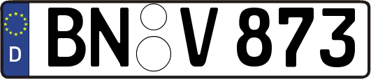 BN-V873