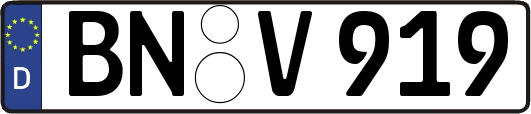 BN-V919