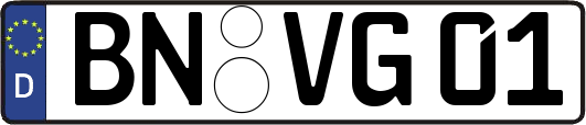 BN-VG01