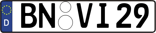 BN-VI29