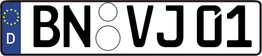 BN-VJ01
