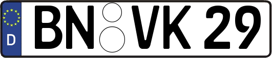 BN-VK29