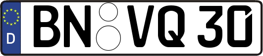 BN-VQ30