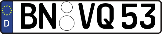 BN-VQ53