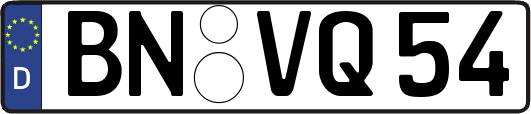 BN-VQ54