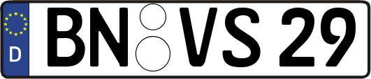 BN-VS29