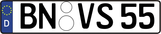 BN-VS55