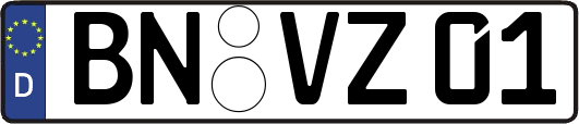 BN-VZ01