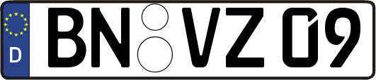BN-VZ09