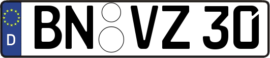 BN-VZ30