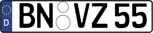 BN-VZ55