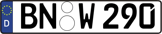 BN-W290