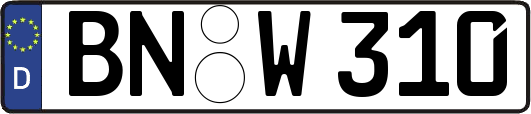 BN-W310