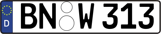 BN-W313