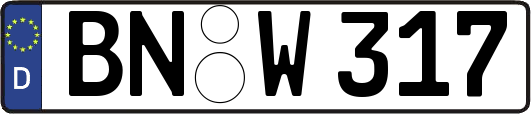 BN-W317