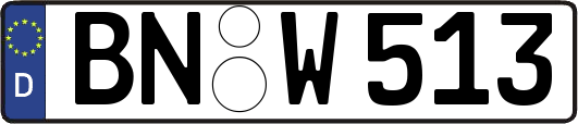 BN-W513