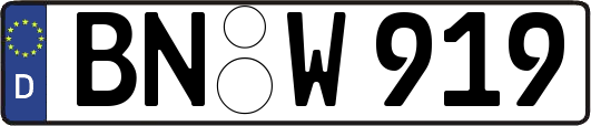 BN-W919