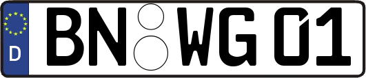 BN-WG01