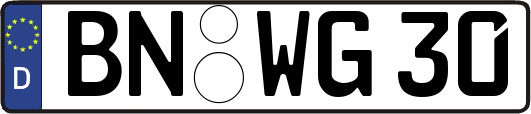 BN-WG30