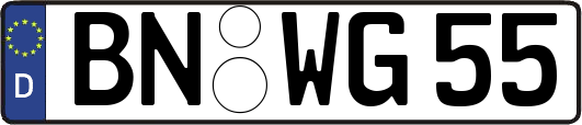 BN-WG55