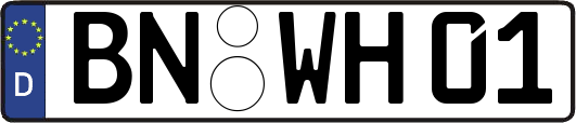 BN-WH01
