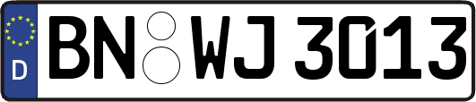 BN-WJ3013