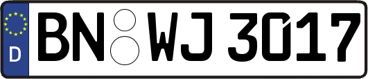BN-WJ3017