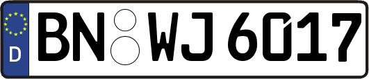 BN-WJ6017
