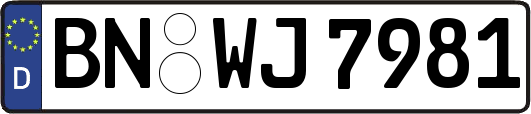 BN-WJ7981