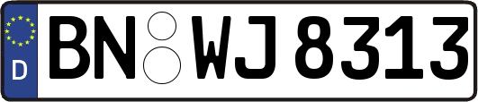 BN-WJ8313