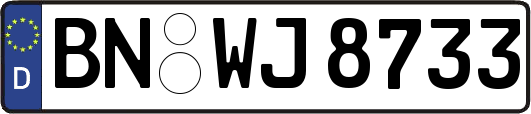 BN-WJ8733