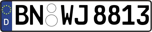 BN-WJ8813