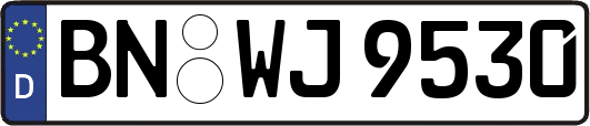 BN-WJ9530