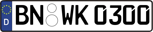 BN-WK0300