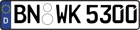 BN-WK5300
