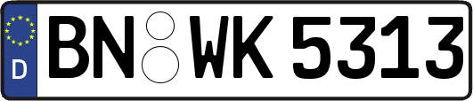 BN-WK5313