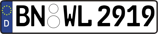 BN-WL2919