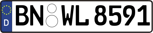 BN-WL8591