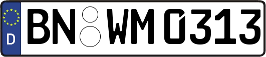 BN-WM0313