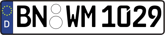 BN-WM1029
