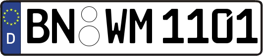 BN-WM1101