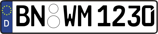 BN-WM1230