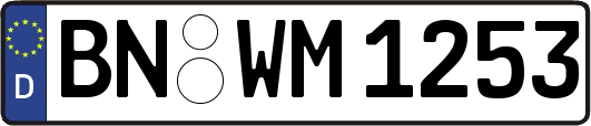 BN-WM1253