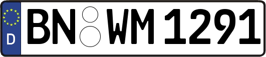 BN-WM1291