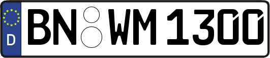 BN-WM1300