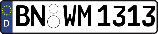 BN-WM1313