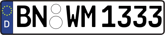 BN-WM1333
