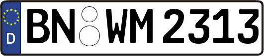 BN-WM2313